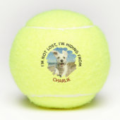 Funny “I’m Hiding From” Custom Dog Name & Photo Tennisbälle (Vorderseite)
