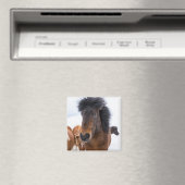 Funny Icelandic Horse Portrait Magnet (In Situ (Geschirrspüler))