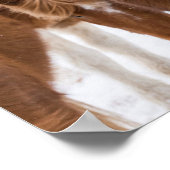 Funny Icelandic Horse Portrait Poster (Ecke)