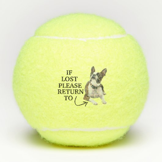 Funny If Lost Return To Dog Photo Tennisbälle (Vorderseite)