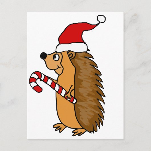 Funny Igel in der Weihnachtsmannmütze Weihnachten (Vorderseite)
