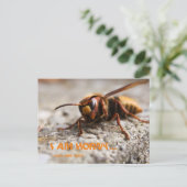 Funny insect hornet slogan postcard postkarte (Stehend Vorderseite)