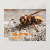 Funny insect hornet slogan postcard postkarte (Vorderseite)