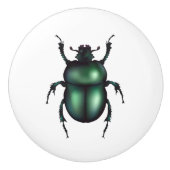 Funny Insect Keramikknauf (Vorderseite)