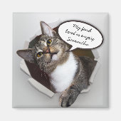Funny Interrupting Cat Personalisierte Nachricht Magnet (Vorne)