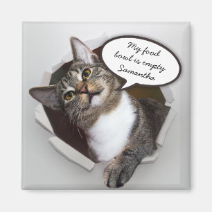 Funny Interrupting Cat Personalisierte Nachricht Magnet
