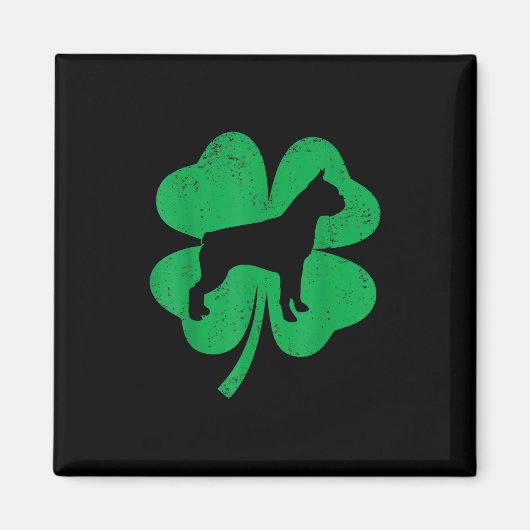 Funny Irish Kleeblatt Leaf Boston Terrier Magnet (Vorne)