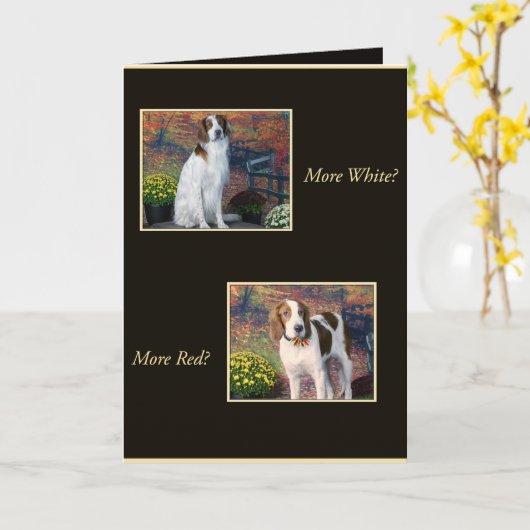 Funny Irish Red and White Setter Birthday Card Karte (Gelbe Blume)