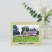 Funny Irish Scarecrow Postcard Postkarte (Stehend Vorderseite)