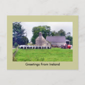 Funny Irish Scarecrow Postcard Postkarte (Vorderseite)