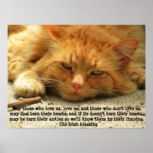 Funny Irish Segen mit Smilly Kitty Poster (Vorne)