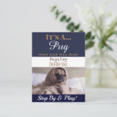 Funny "It's A" - neue Haustierankündigung Postkarte (Stehend Vorderseite)