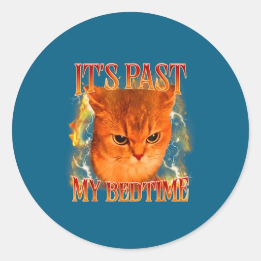 Funny It's Past My Bedtime Cat Meme Animals Humor Runder Aufkleber (Vorderseite)