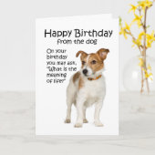 Funny Jack Russell Terrier Birthday Card Karte (Gelbe Blume)