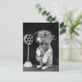 Funny JACK RUSSELL Terrier dog spielt Banjo Postkarte (Stehend Vorderseite)