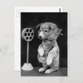 Funny JACK RUSSELL Terrier dog spielt Banjo Postkarte (Vorne/Hinten)