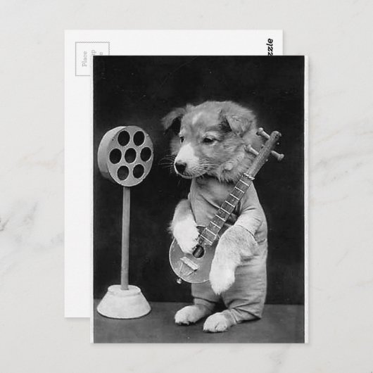 Funny JACK RUSSELL Terrier dog spielt Banjo Postkarte (Vorne/Hinten)
