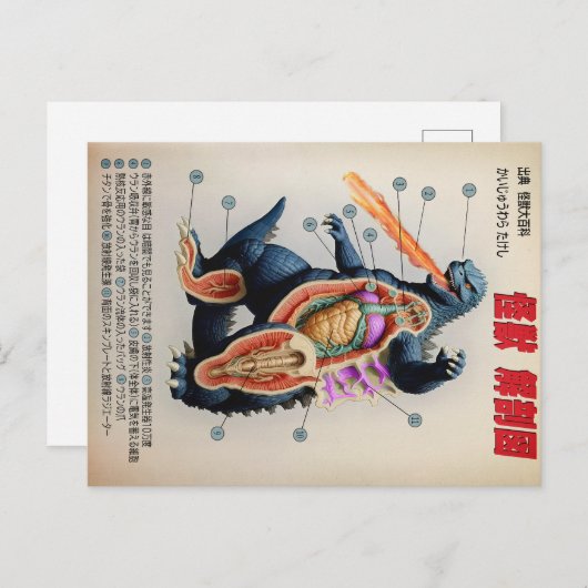 Funny Japanisch Kaiju Anatomie Diagramm Postkarte (Vorne/Hinten)