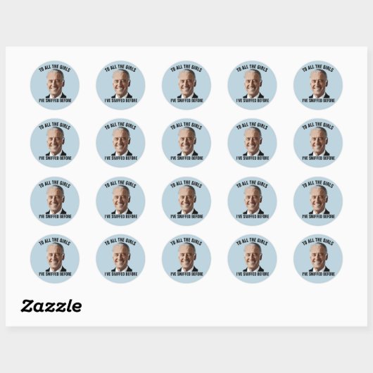 FUNNY JOE BIDEN STICKERS DECALS (Blatt)
