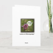 Funny June Bug Grußkarte Karte (Rückseite)