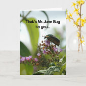 Funny June Bug Grußkarte Karte (Gelbe Blume)