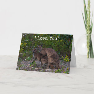 Funny Kangaroo I Liebe You Karte