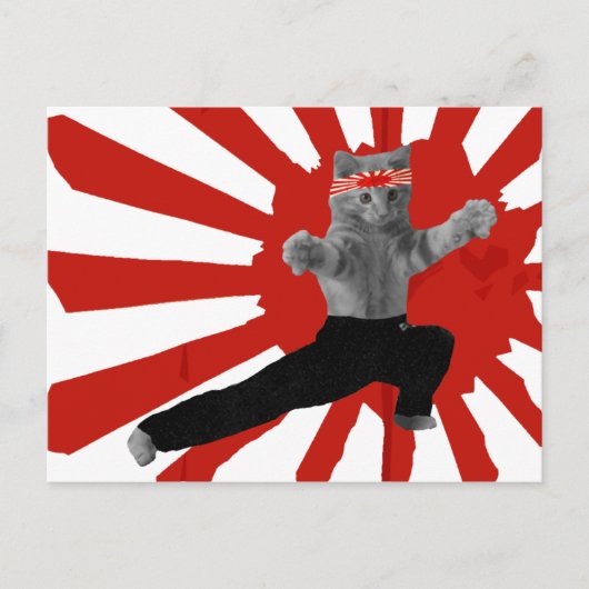 Funny Karate Kitten Geschenke Postkarte (Vorderseite)