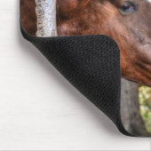 Funny Kastnut Stallion & Mare in einem waldreichen Mousepad (Ecke)
