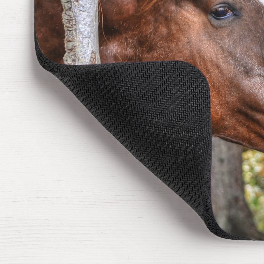 Funny Kastnut Stallion & Mare in einem waldreichen Mousepad (Ecke)
