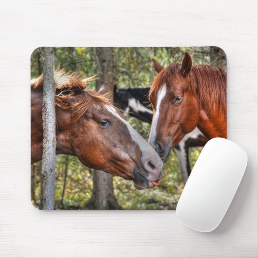 Funny Kastnut Stallion & Mare in einem waldreichen Mousepad (Mit Mouse)