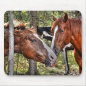 Funny Kastnut Stallion & Mare in einem waldreichen Mousepad (Vorne)