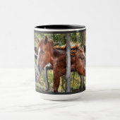 Funny Kastnut Stallion & Mare in einem waldreichen Tasse (Zentrum)