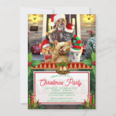 Funny Kätzchen an Weihnachten. Einladung (Vorderseite)