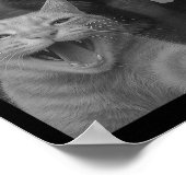 Funny Katze überrascht glücklich Selfie mit Bigfoo Poster (Ecke)