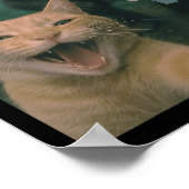 Funny Katze überrascht glücklich Selfie mit Bigfoo Poster (Ecke)