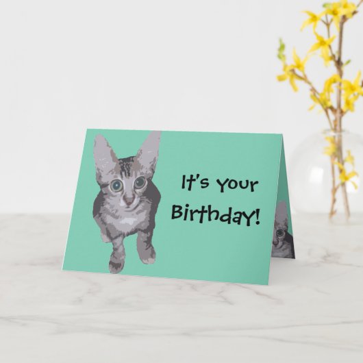 Funny Kitten Birthday Karte (Gelbe Blume)