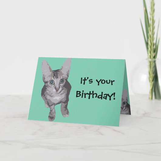 Funny Kitten Birthday Karte (Vorderseite)