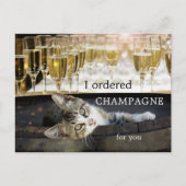 Funny Kitten Cheers Birthday Postcard Postkarte (Vorderseite)