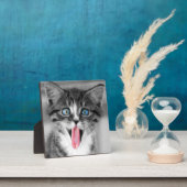 Funny Kitten Fotoplatte (InSitu)