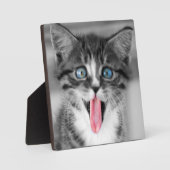 Funny Kitten Fotoplatte (Vorderseite)
