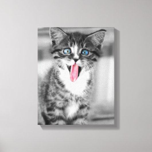 Funny Kitten Leinwanddruck (Vorderseite)
