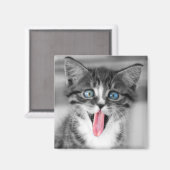 Funny Kitten Magnet (Vorderseite/Rückseite)