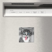 Funny Kitten Magnet (In Situ (Geschirrspüler))
