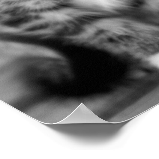 Funny Kitten Poster (Ecke)