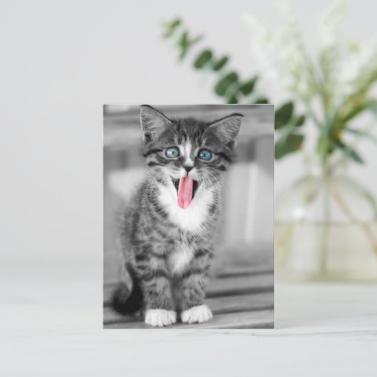Funny Kitten Postkarte (Stehend Vorderseite)