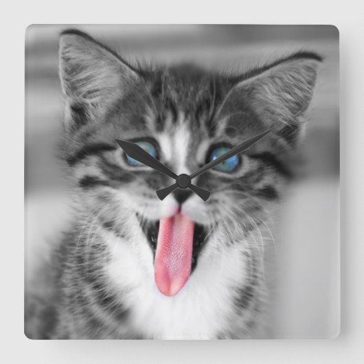 Funny Kitten Quadratische Wanduhr (Vorderseite)