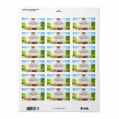 Funny Kittens auf grünem Feld. Adressaufkleber (Vorne)