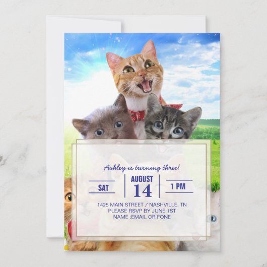 Funny Kittens auf grünem Feld. Einladung (Vorderseite)