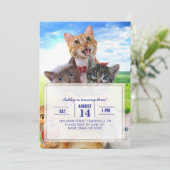 Funny Kittens auf grünem Feld. Einladung (Stehend Vorderseite)