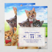 Funny Kittens auf grünem Feld. Einladung (Vorne/Hinten)